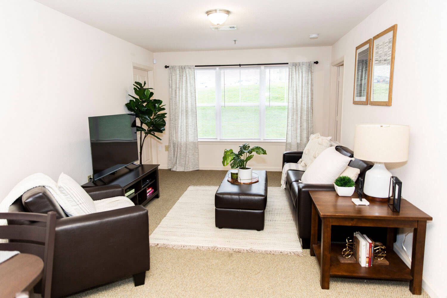 Slippery Rock Luxury Student Apartments Gallery Grove