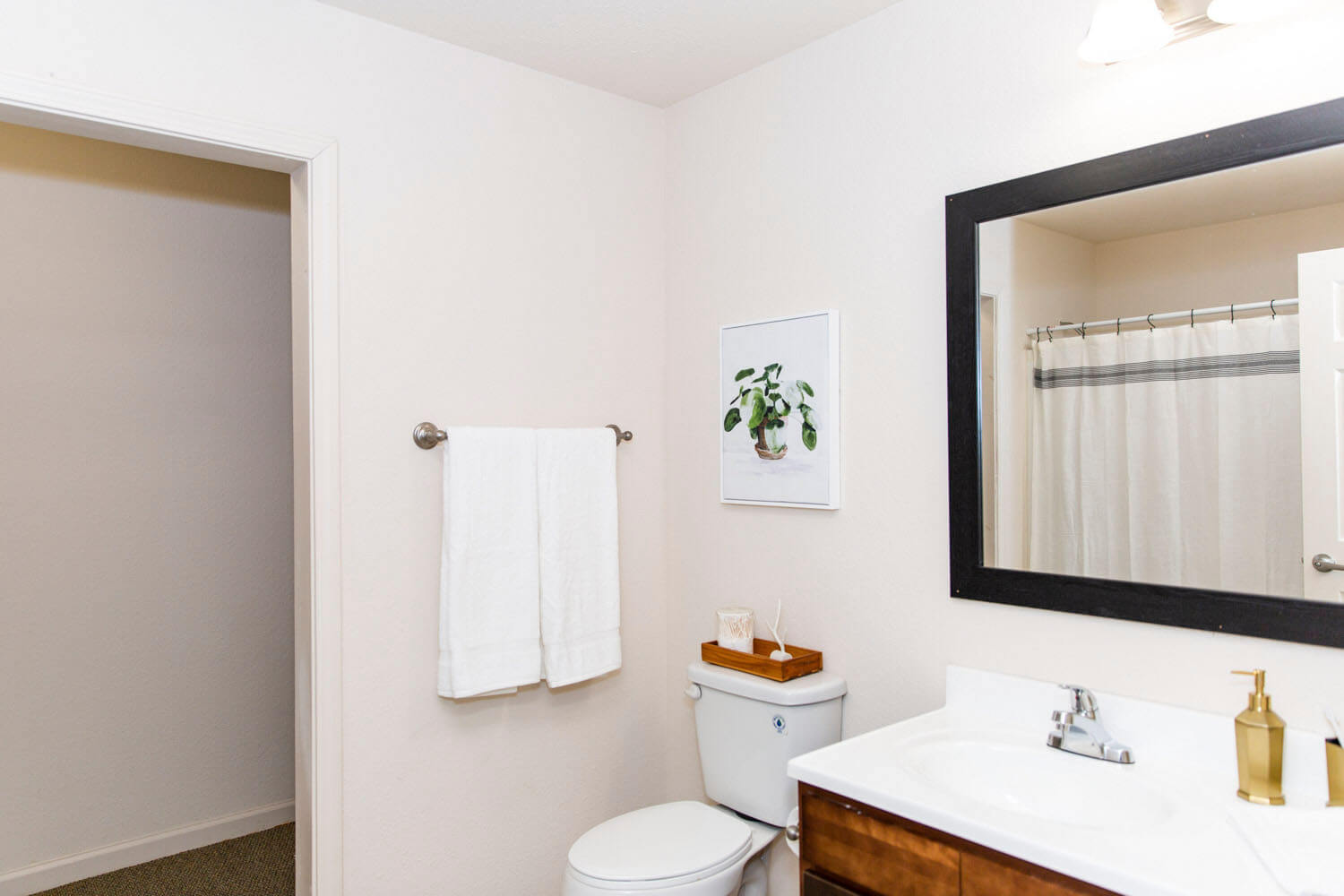 Slippery Rock Luxury Student Apartments Gallery Grove