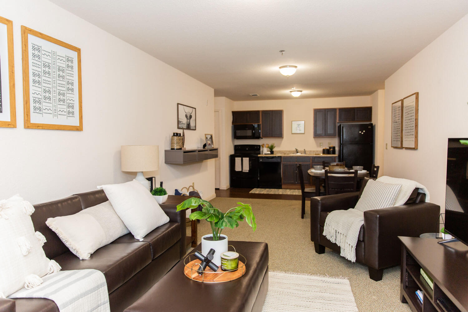 Slippery Rock Luxury Student Apartments Gallery Grove