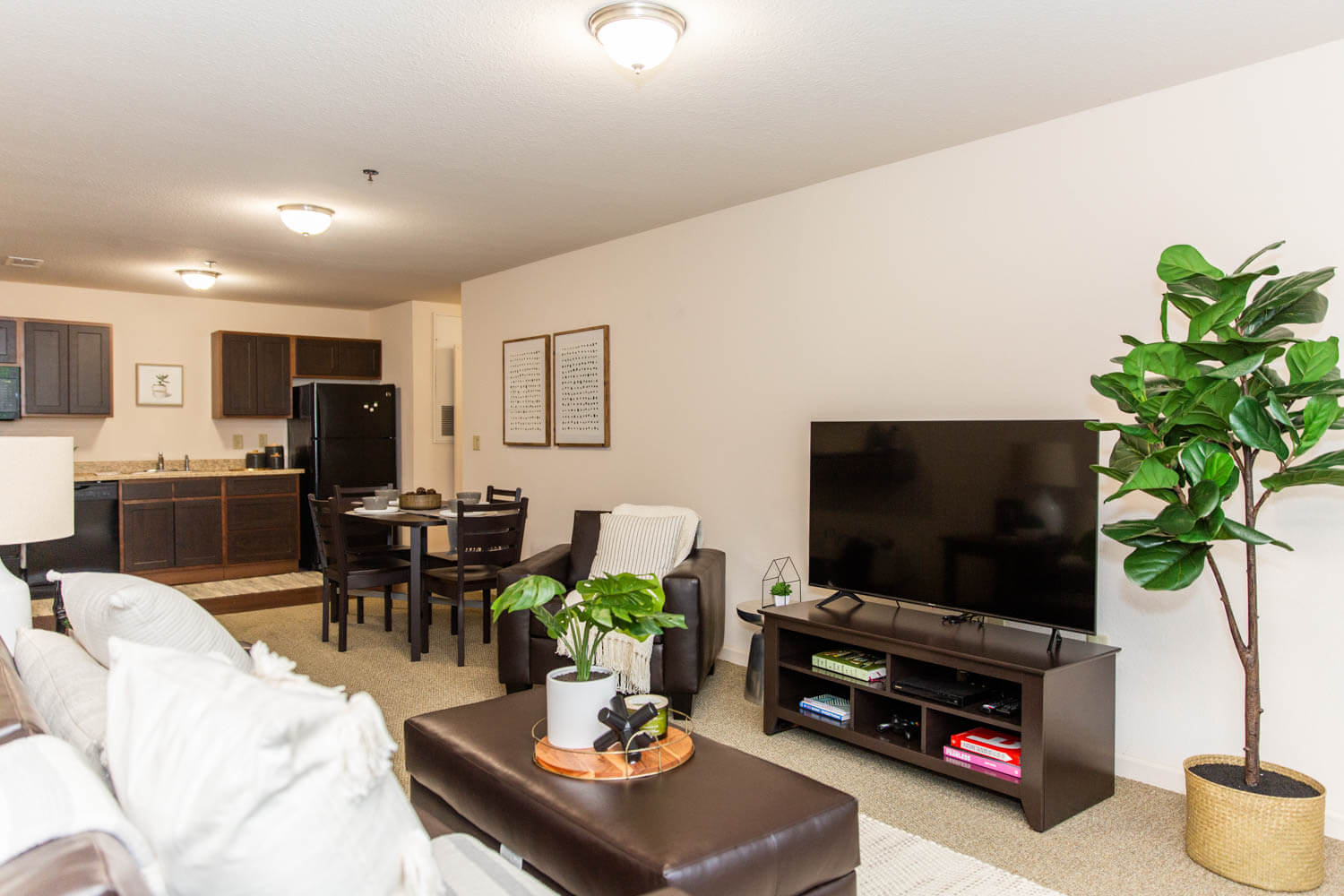 Slippery Rock Luxury Student Apartments Gallery Grove